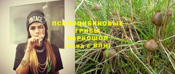 mix Белокуриха