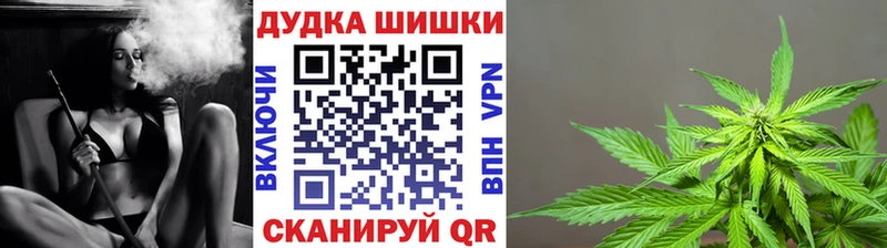 где купить   Новый Уренгой  Шишки марихуана OG Kush 